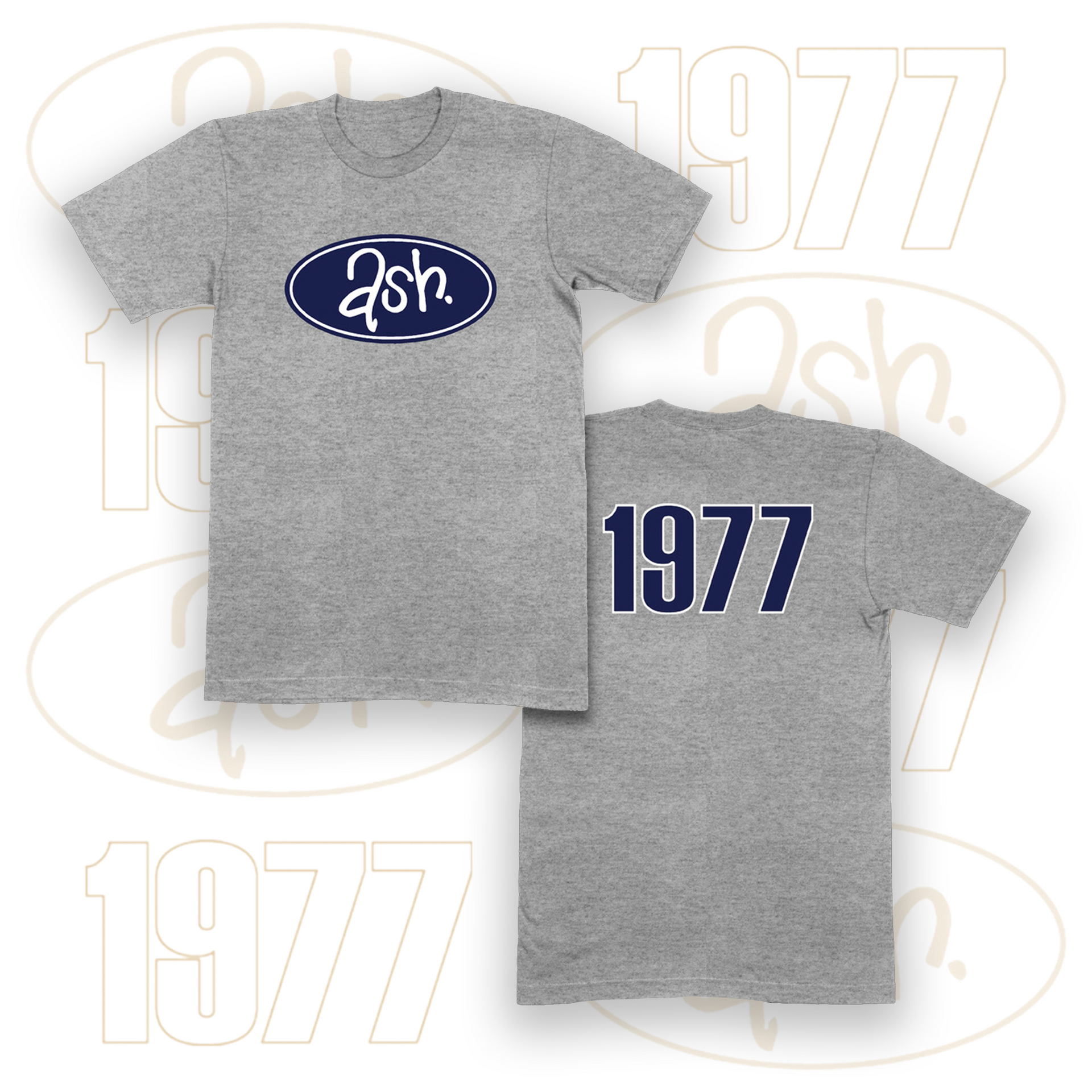 Classic Ash Logo T-Shirt (Grey) | Ash Official Store