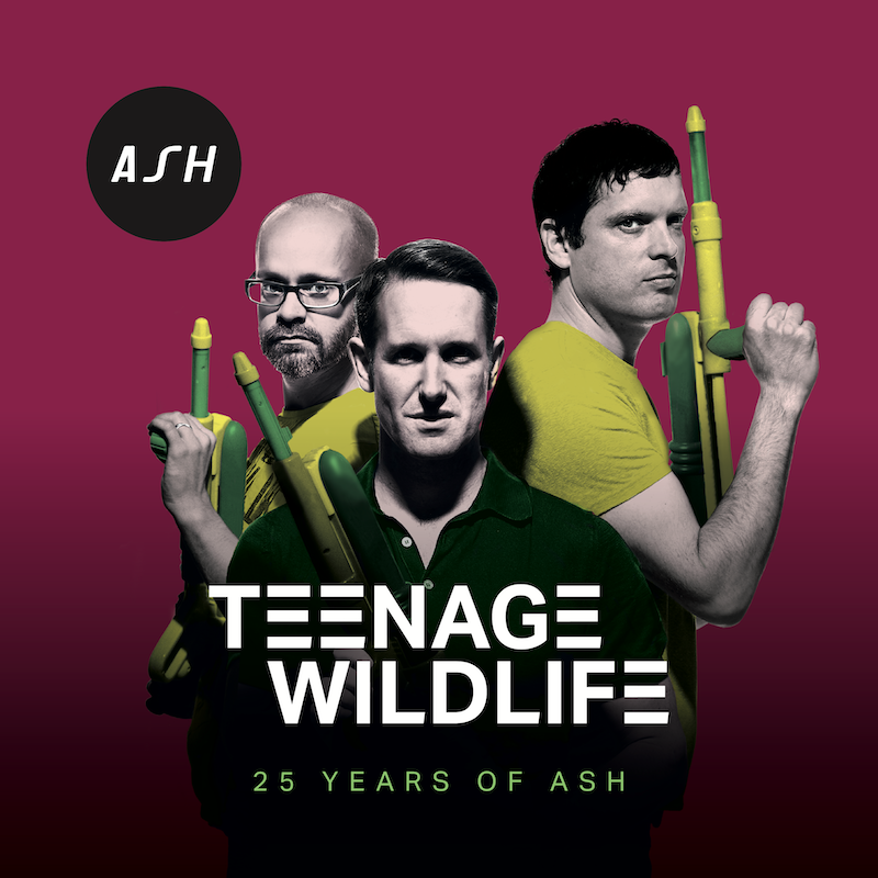 Teenage Wildlife (Double Vinyl) | ASH