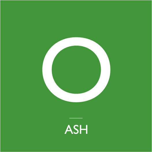 A-Z: O 7" - Mind Control | ASH