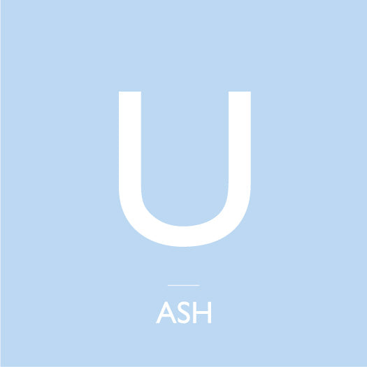 A-Z: U 7" - Summer Snow | ASH